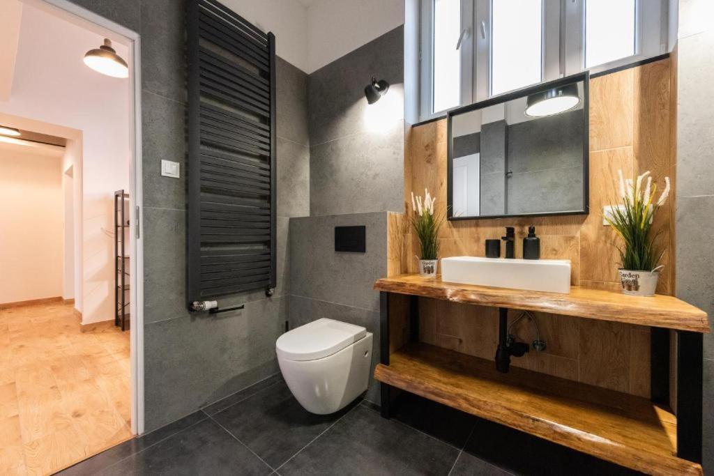 Apartament Loft Apartment Белско-Бяла Екстериор снимка