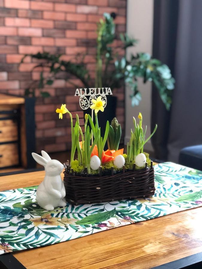 Apartament Loft Apartment Белско-Бяла Екстериор снимка